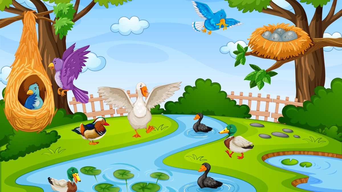 Test