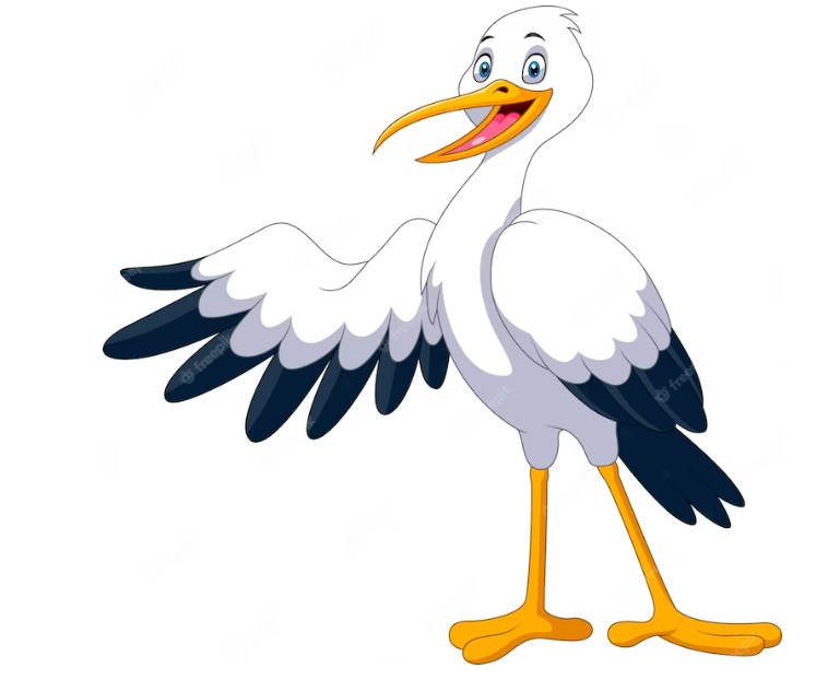 300
