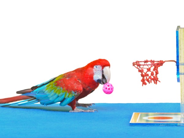 300