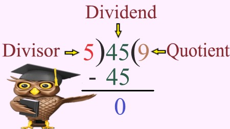 1b
