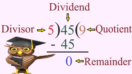 1c
