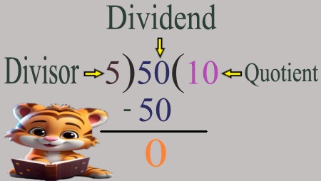 1b