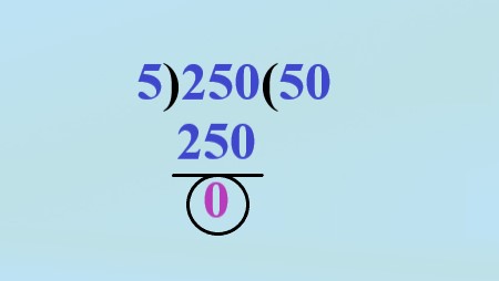 1b