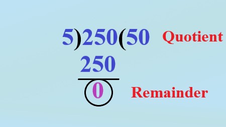 1c