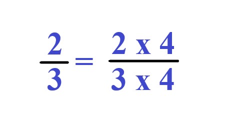 1b