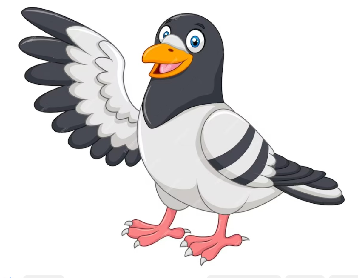 300