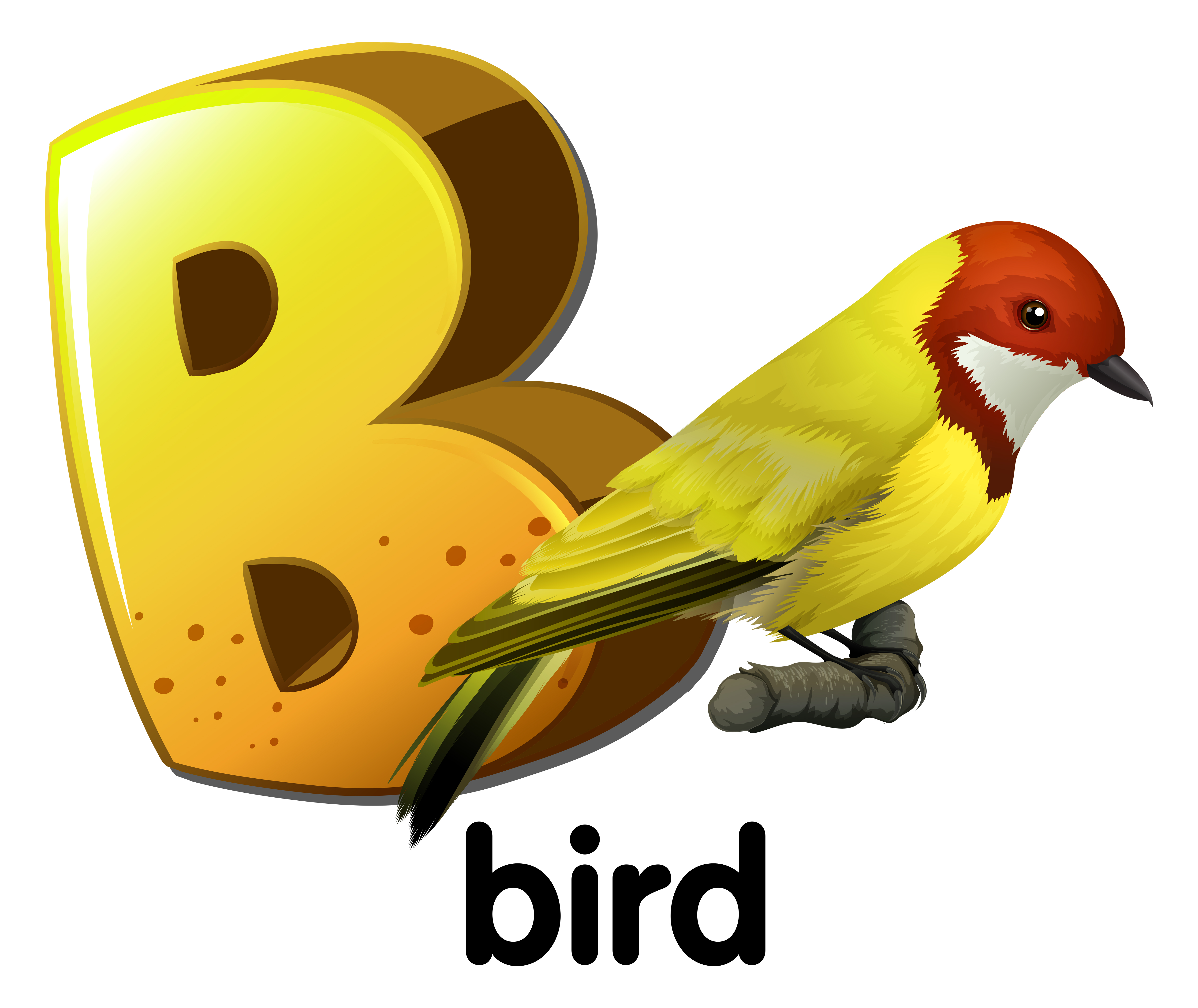 300