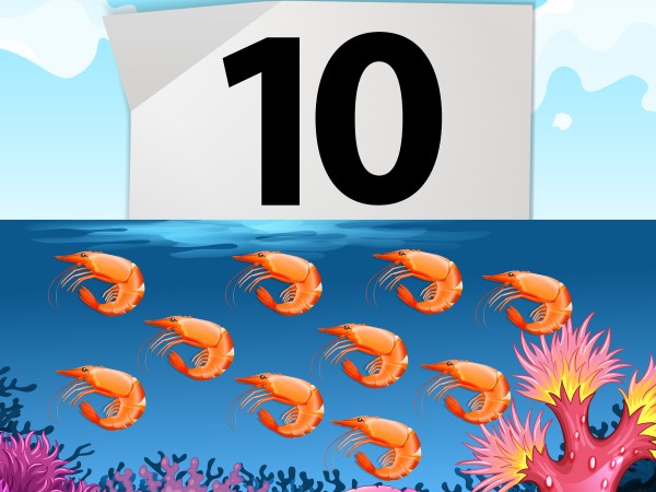 300